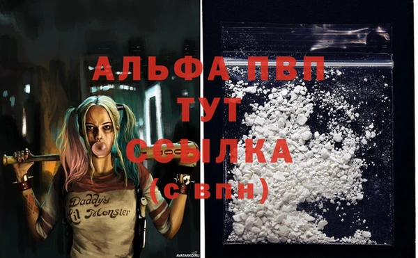 прущая мука Вяземский