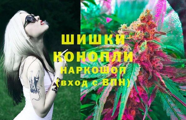 2c-b Горнозаводск