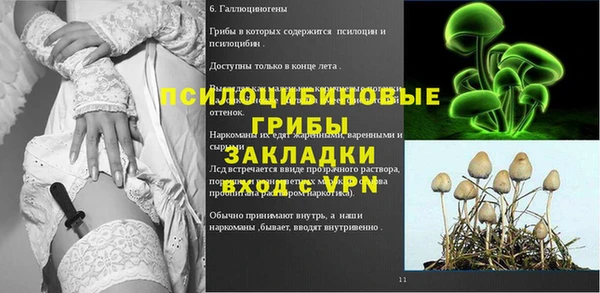 гашик Горно-Алтайск