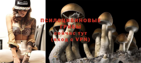 гашик Горно-Алтайск