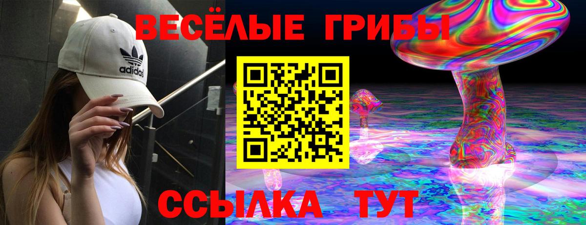 Елабуга  Галлюциногенные грибы Cubensis  Вход с VPN 