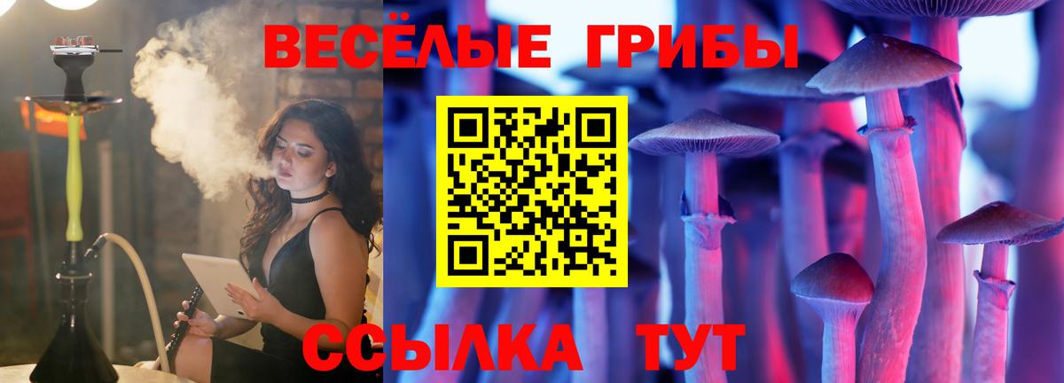 Галлюциногенные грибы мицелий Елабуга